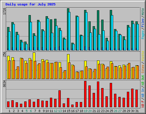 Daily usage for July 2025