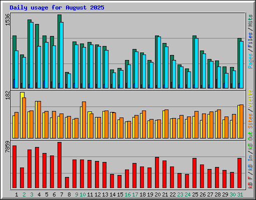 Daily usage for August 2025