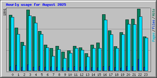 Hourly usage for August 2025