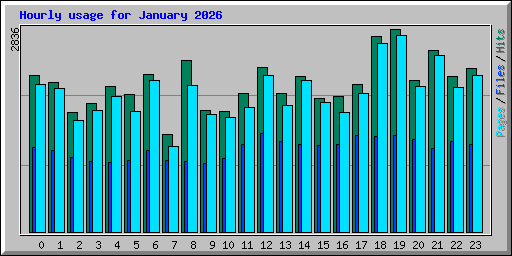 Hourly usage for January 2026